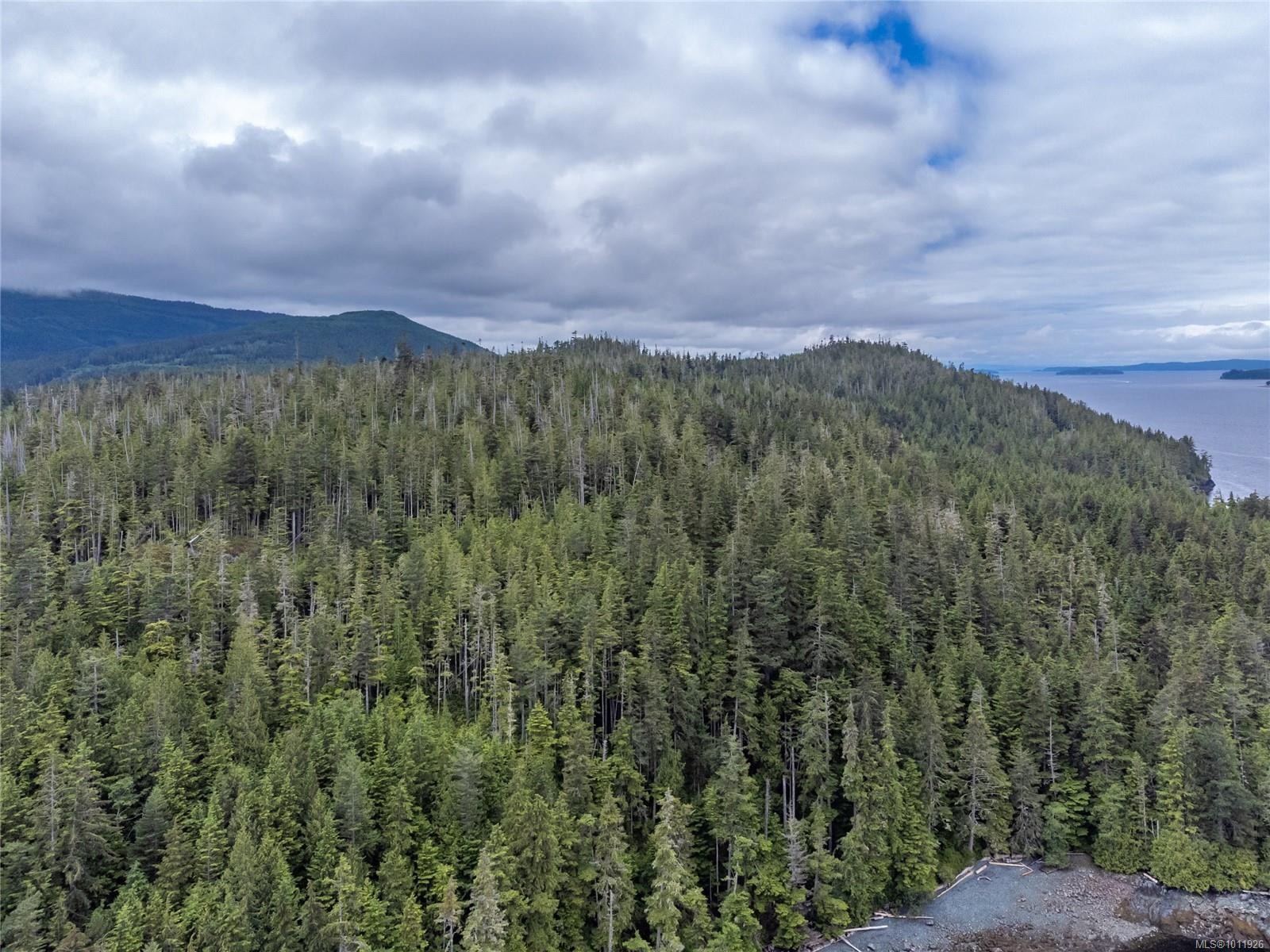 









DL2264


Hidden

Cove,
Port McNeill,




BC
V0N 2R0

