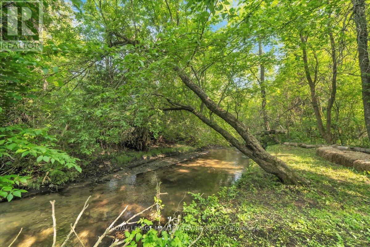 












39 MILL STREET

,
Erin,




Ontario
N0B1Z0

