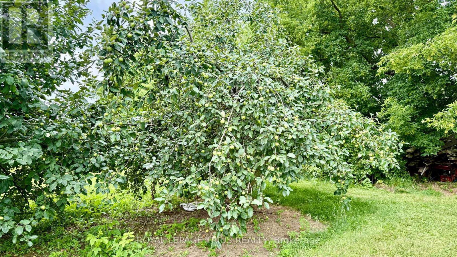 












1665 COCKSHUTT ROAD

,
Norfolk (Townsend),




Ontario
N0E1Y0

