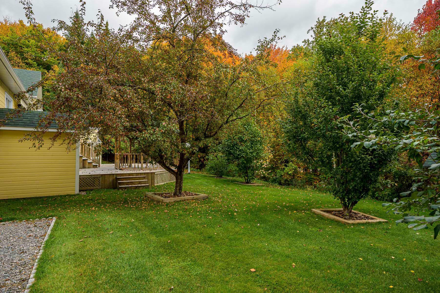 









81


Rue Dominyck

,
Sainte-Agathe-des-Monts,




QC
J8C2Z7

