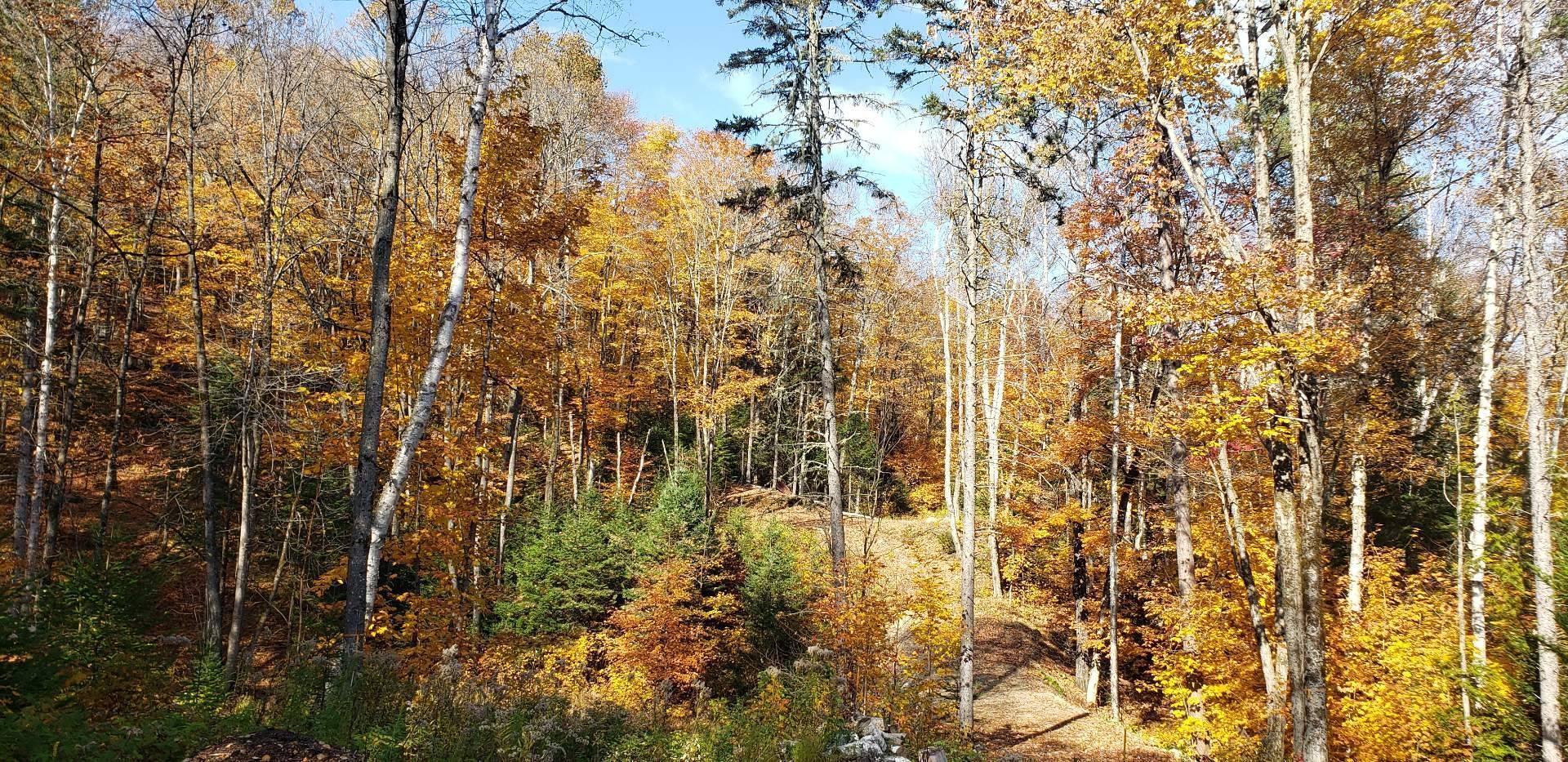 












9e Rang

,
Saint-Côme,







QC
J0K2B0

