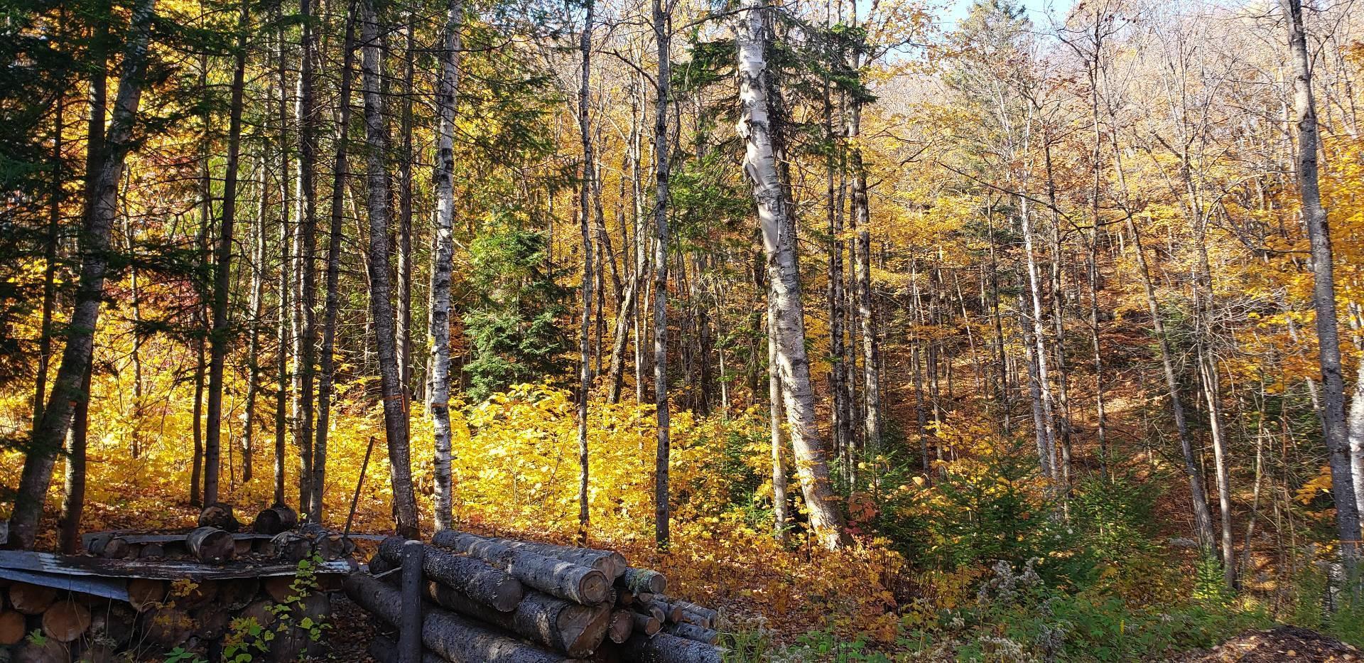 












9e Rang

,
Saint-Côme,







QC
J0K2B0


