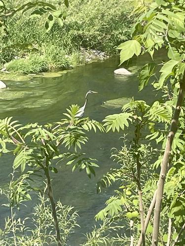 Vue sur l'eau
