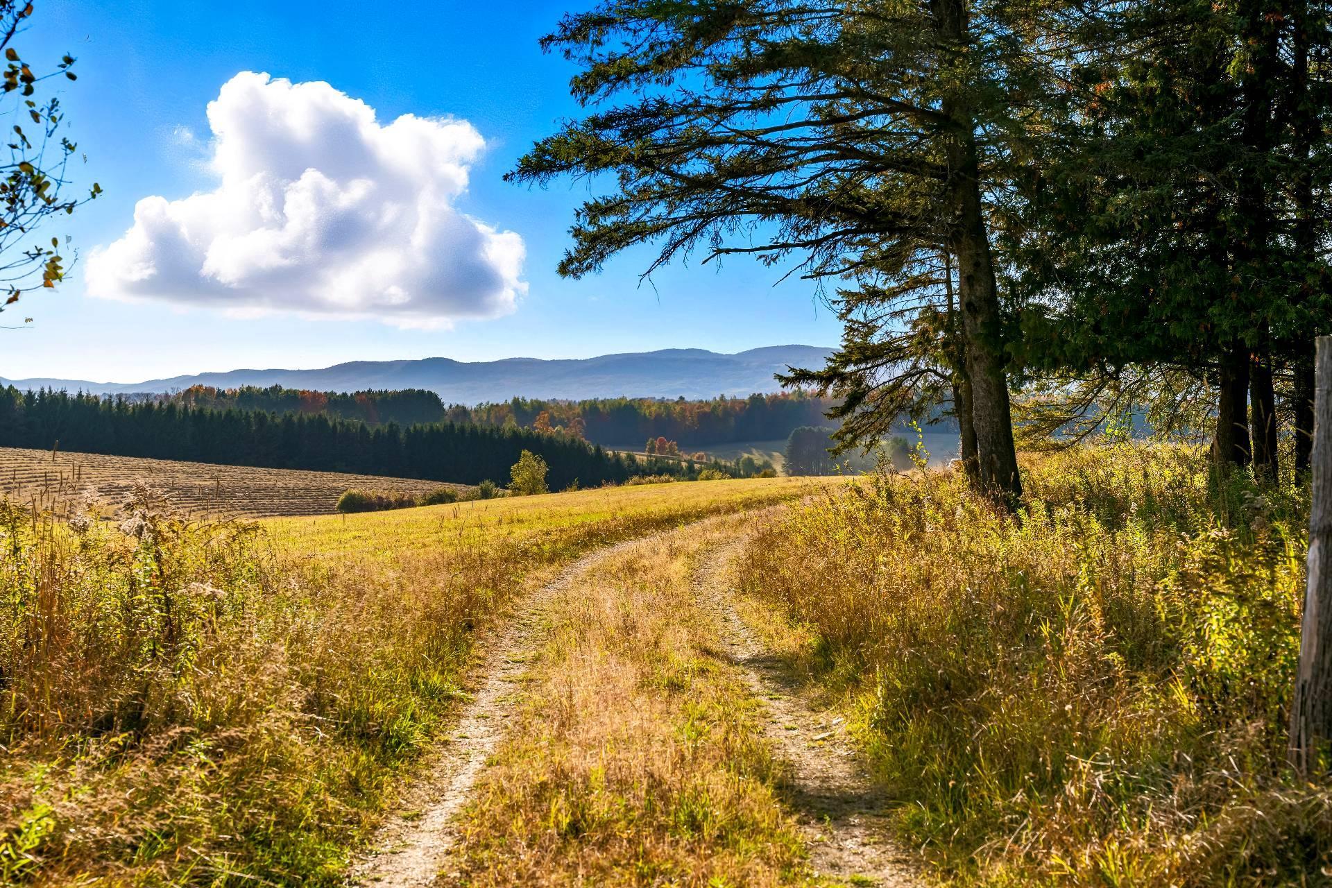 









3150


Ch. Bartlett

,
Cookshire-Eaton,







QC
J0B1M0

