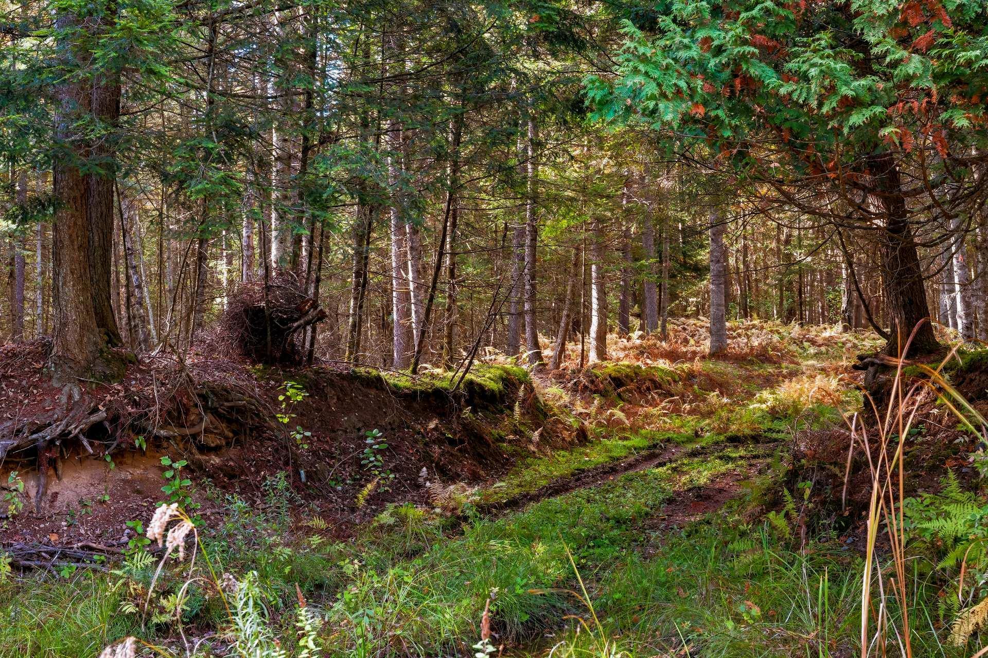 









3150


Ch. Bartlett

,
Cookshire-Eaton,







QC
J0B1M0

