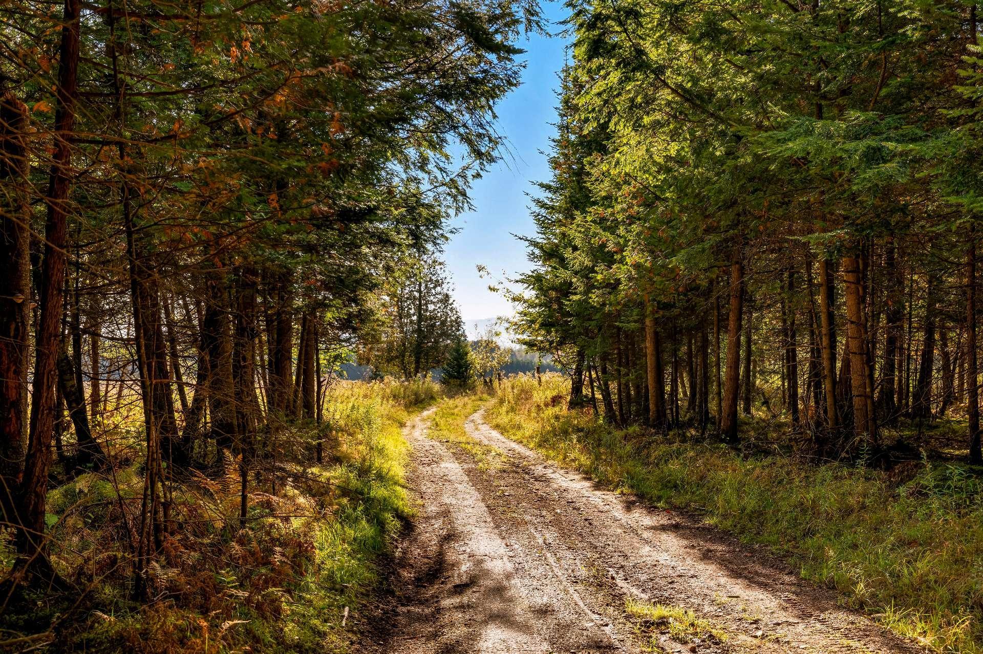 









3150


Ch. Bartlett

,
Cookshire-Eaton,







QC
J0B1M0

