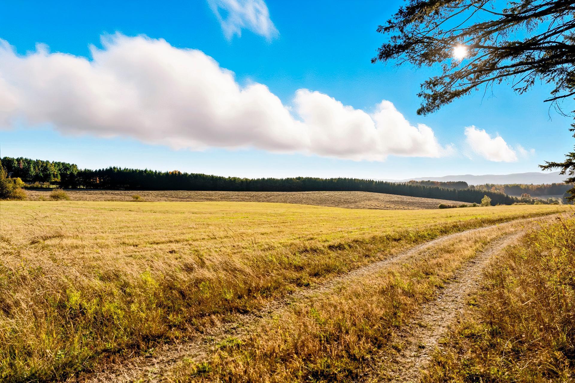 









3150


Ch. Bartlett

,
Cookshire-Eaton,







QC
J0B1M0

