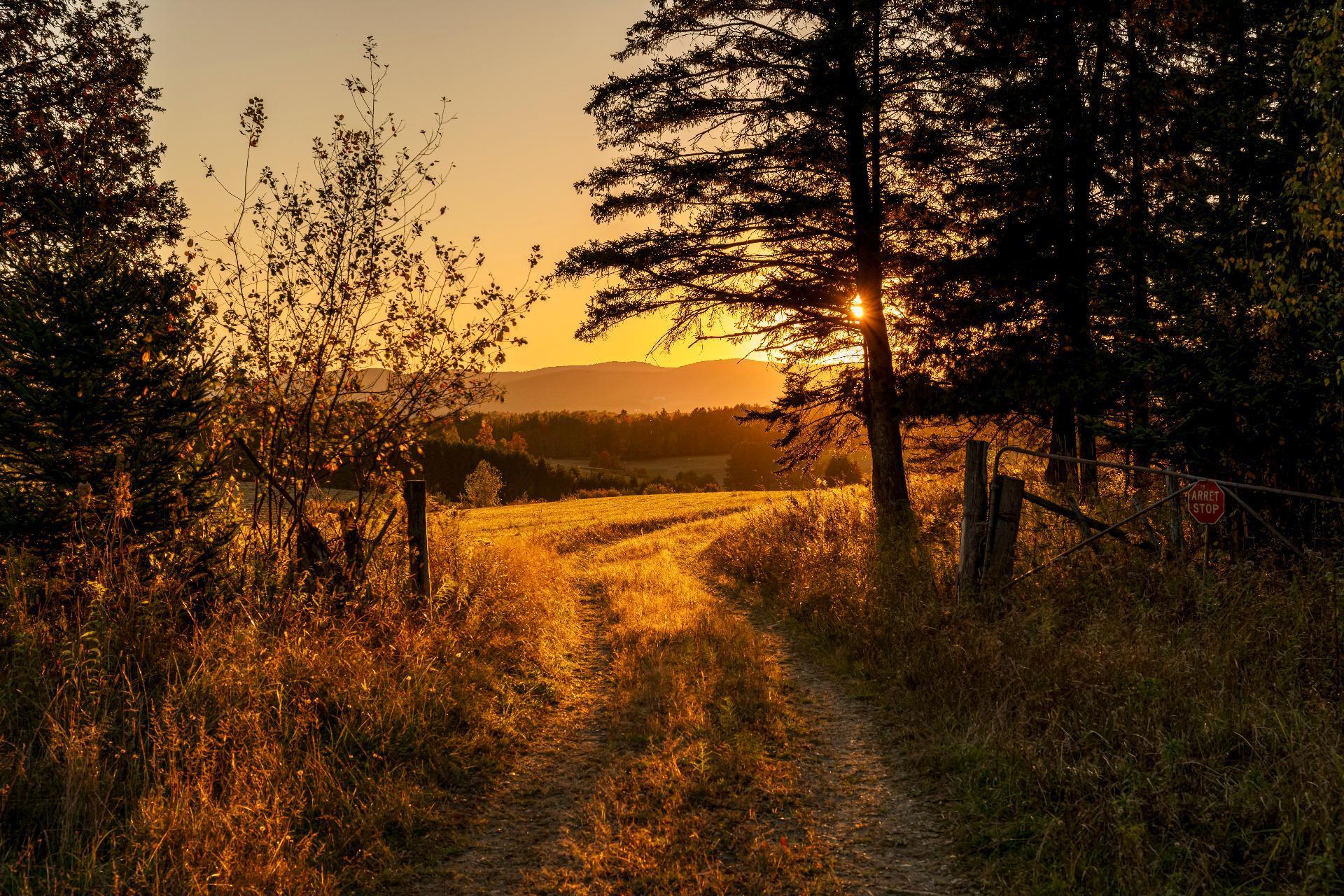 









3150


Ch. Bartlett

,
Cookshire-Eaton,







QC
J0B1M0

