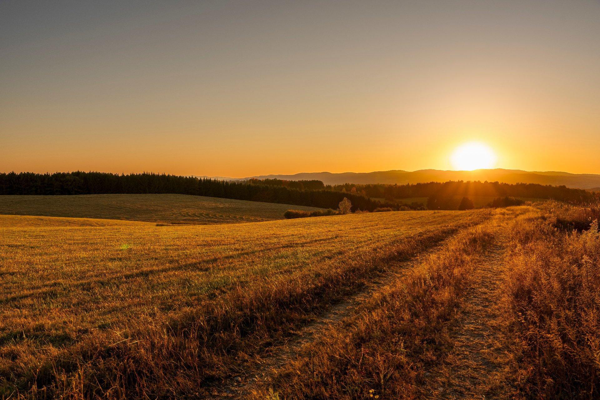 









3150


Ch. Bartlett

,
Cookshire-Eaton,







QC
J0B1M0

