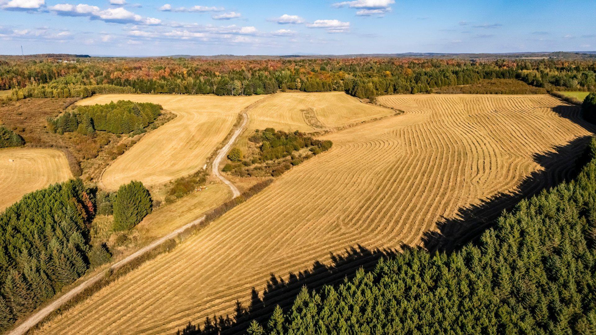 









3150


Ch. Bartlett

,
Cookshire-Eaton,







QC
J0B1M0

