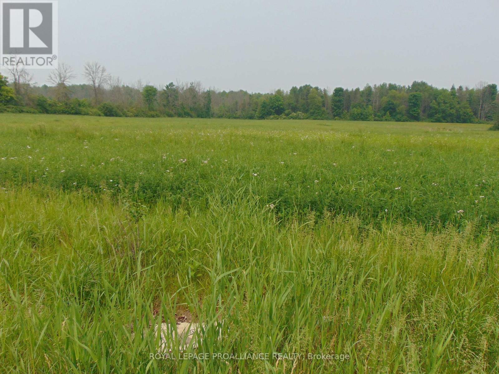 












00 CHARLEVILLE ROAD N

,
Augusta,







Ontario
K0E1T0

