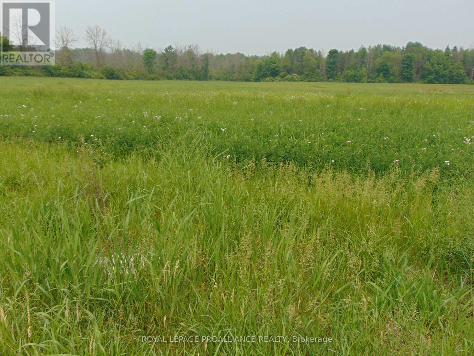 












00 CHARLEVILLE ROAD N

,
Augusta,







Ontario
K0E1T0

