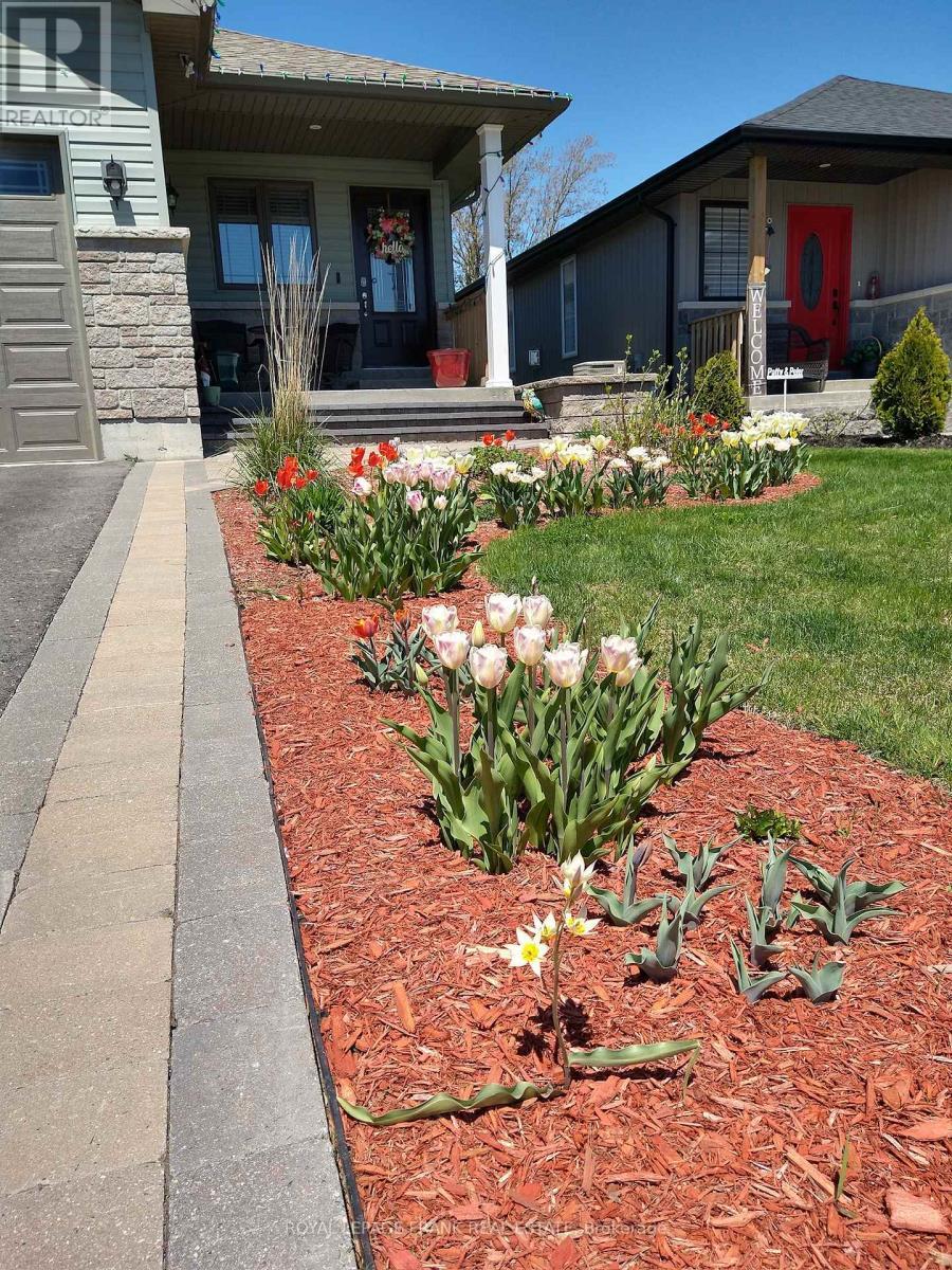 












41 CORTLAND WAY

,
Brighton,




Ontario
K0K1H0

