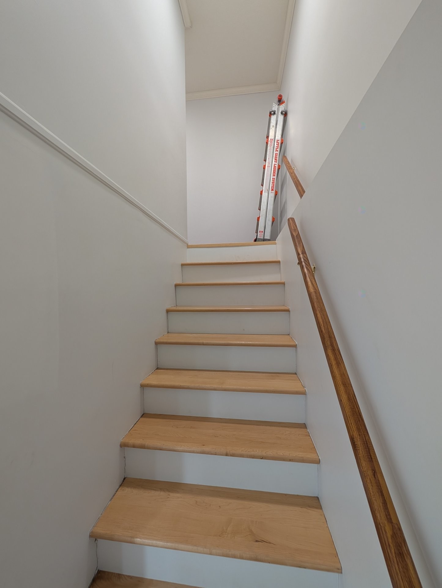 









13


Rue Conroy

,
Gatineau (Aylmer),




QC
J9H5L4

