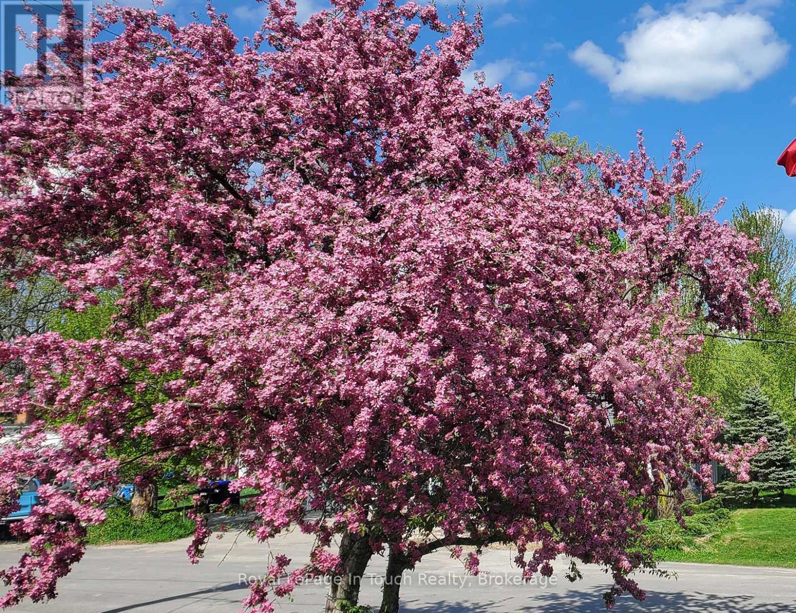 












8 CYRIL MARTIN PLACE

,
Severn (Coldwater),




Ontario
L0K1E0

