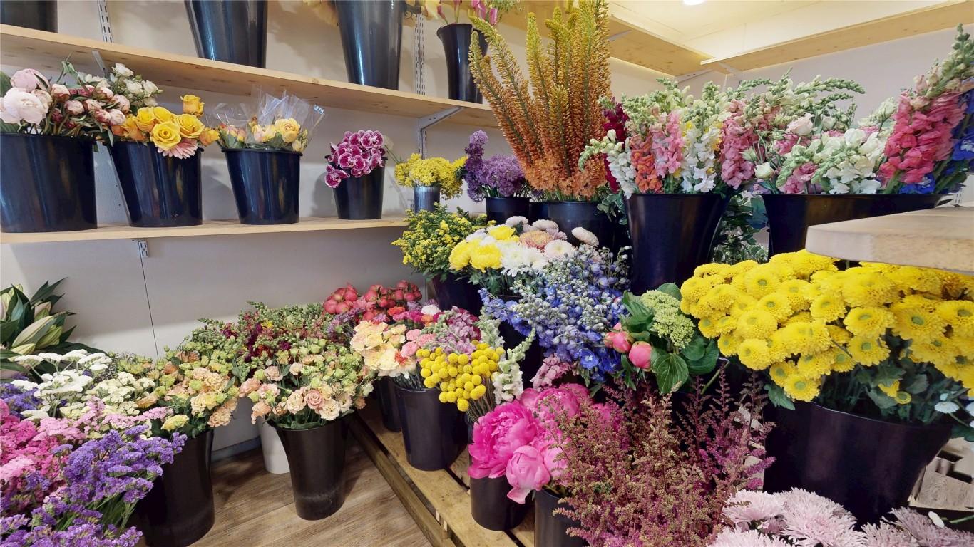 









24


10th

Avenue,
Cranbrook,




BC
V1C 2M8

