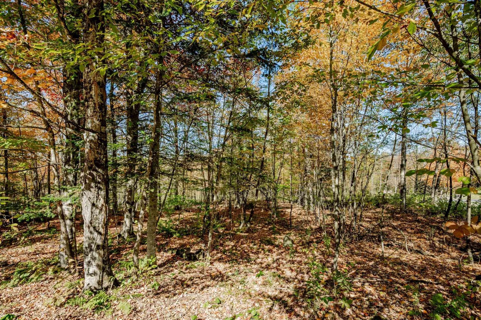 









24


Ch. du Soleil-Levant

,
Bolton-Est,




QC
J0E1G0

