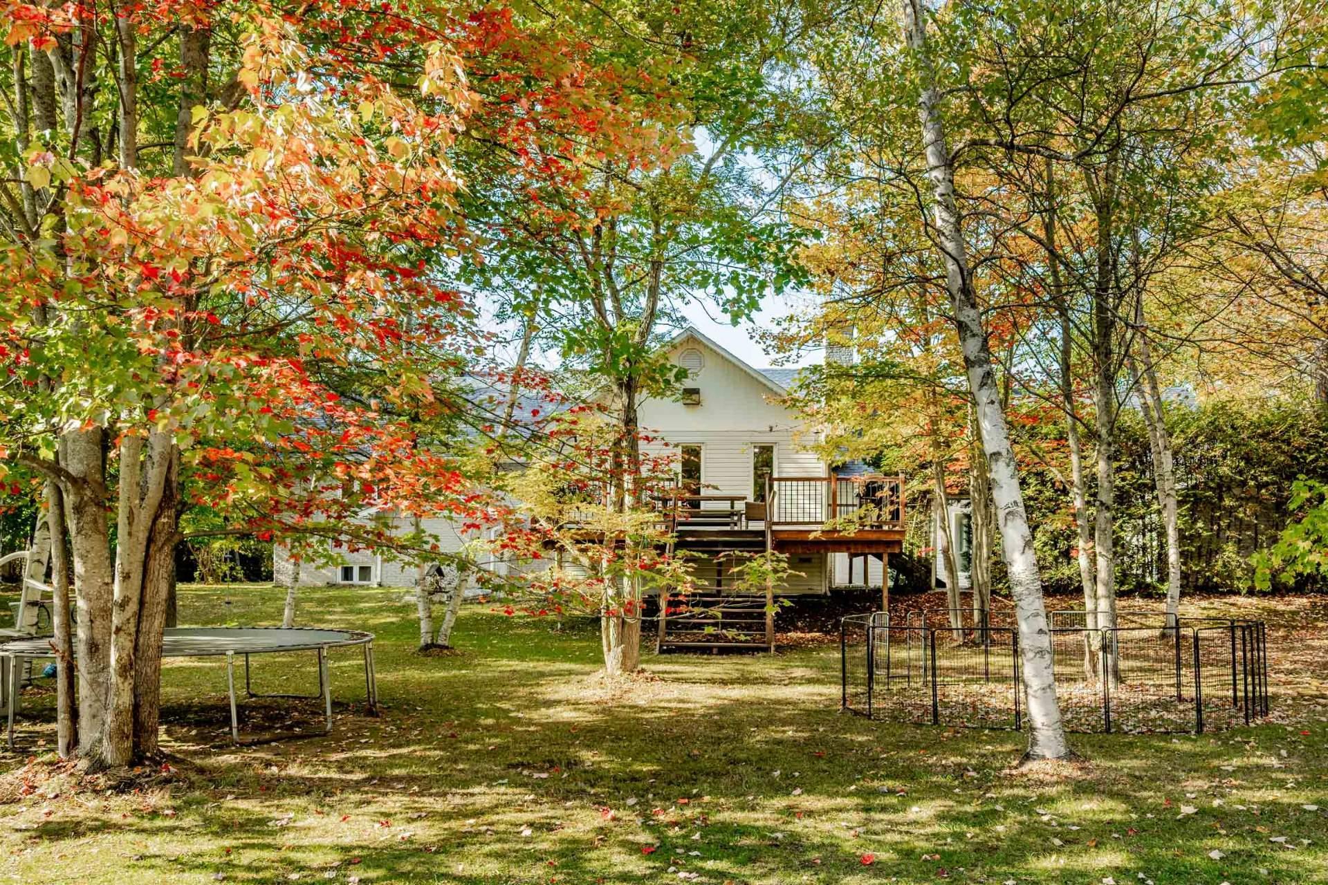 









850


Av. du Parc

,
Sherbrooke (Brompton/Rock Forest/Saint-Élie/Deauville),




QC
J1N3N8

