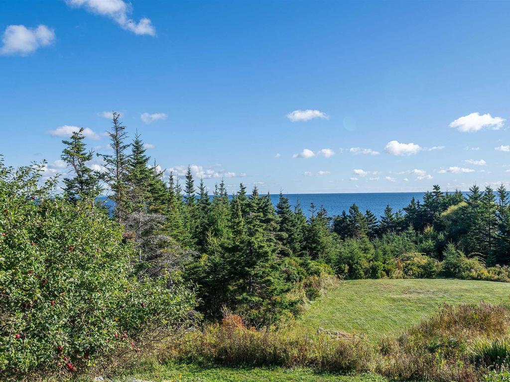 












664 Ketch Harbour Road

,
Portuguese Cove,




NS
B3V 1K2

