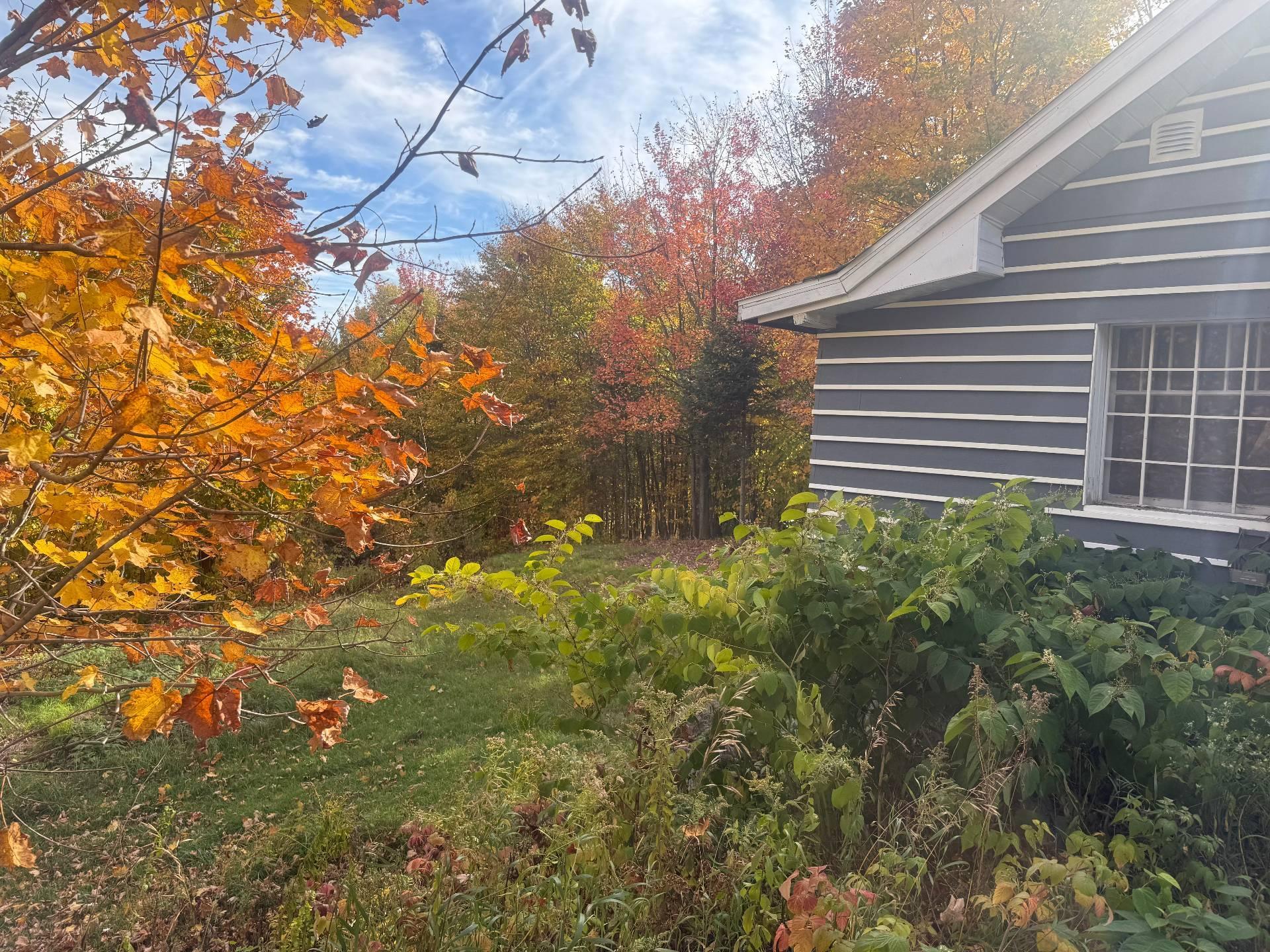 









588


Ch. de l'Artisan

,
Sainte-Lucie-des-Laurentides,




QC
J0T2J0

