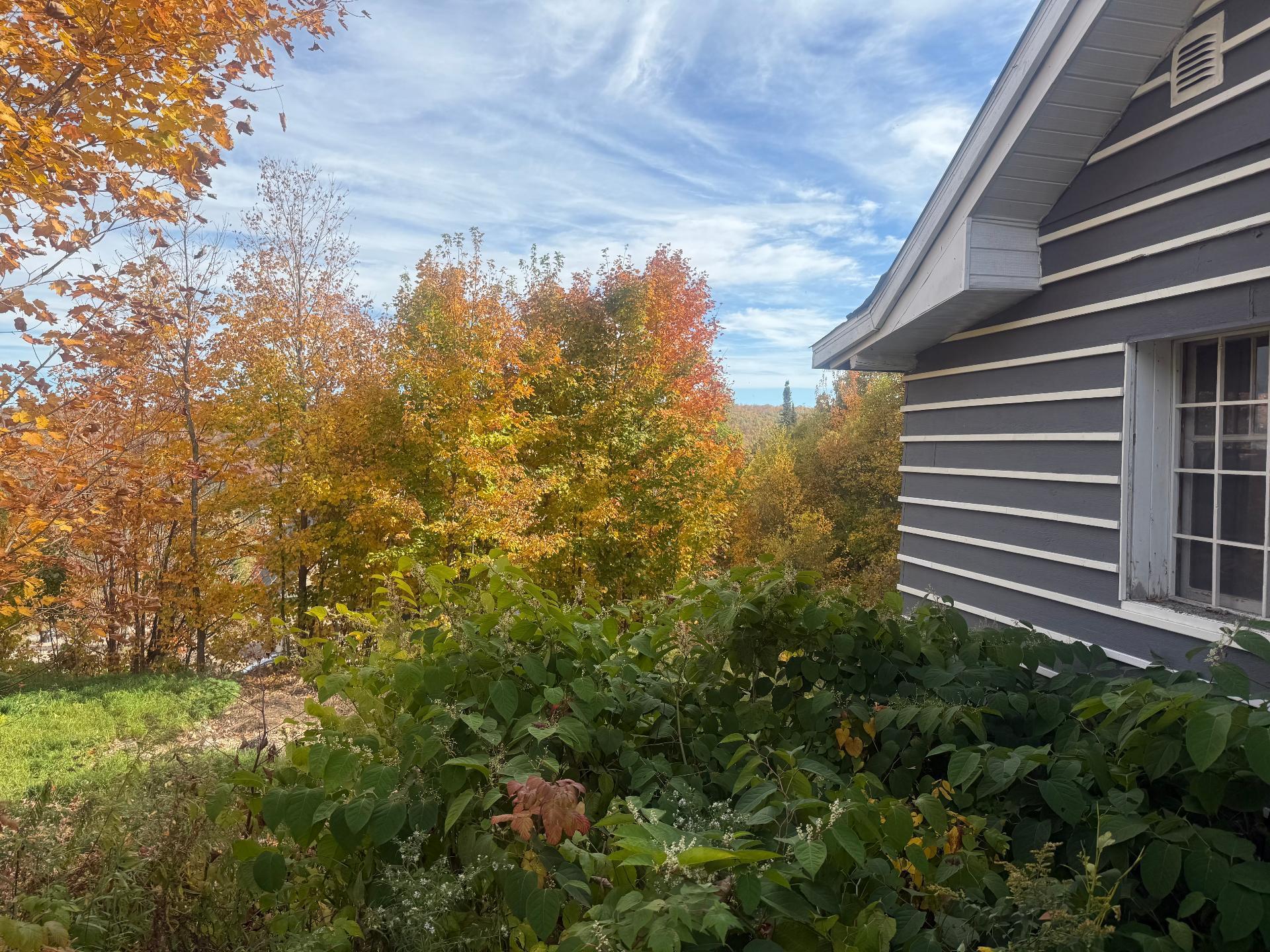 









588


Ch. de l'Artisan

,
Sainte-Lucie-des-Laurentides,




QC
J0T2J0

