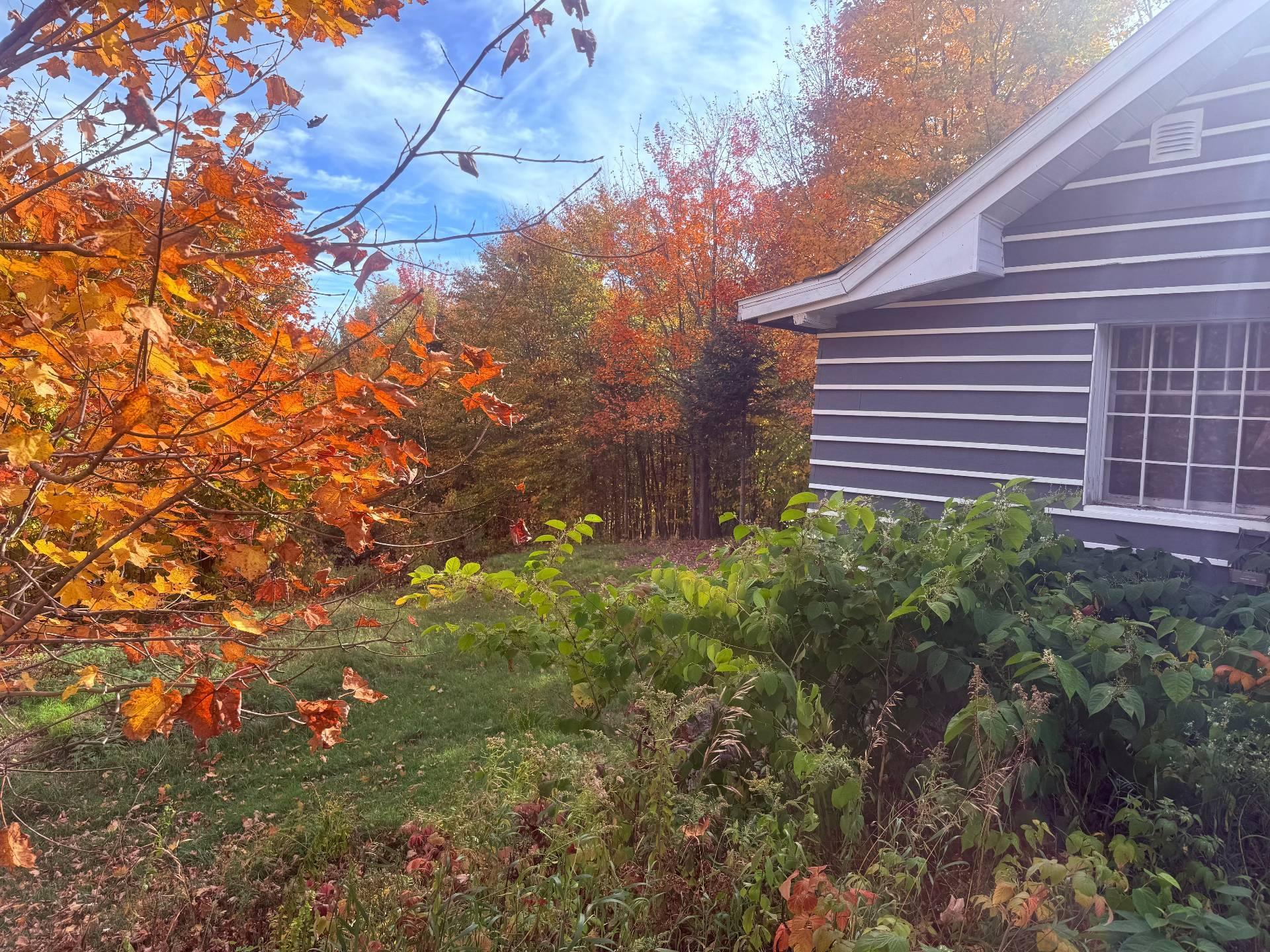 









588


Ch. de l'Artisan

,
Sainte-Lucie-des-Laurentides,




QC
J0T2J0


