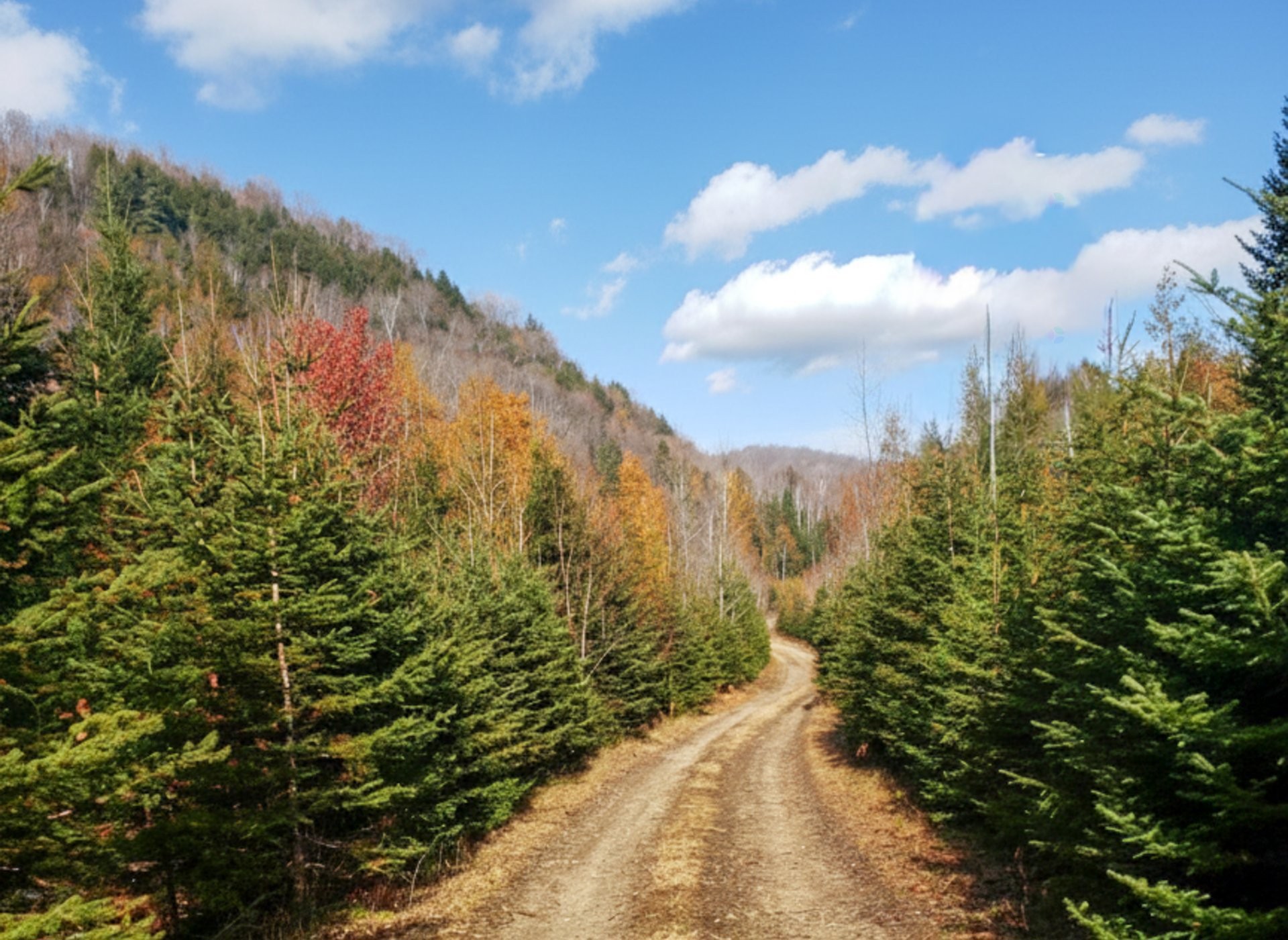 












Ch. de la Paroi

,
Mont-Tremblant,







QC
J8E2G1


