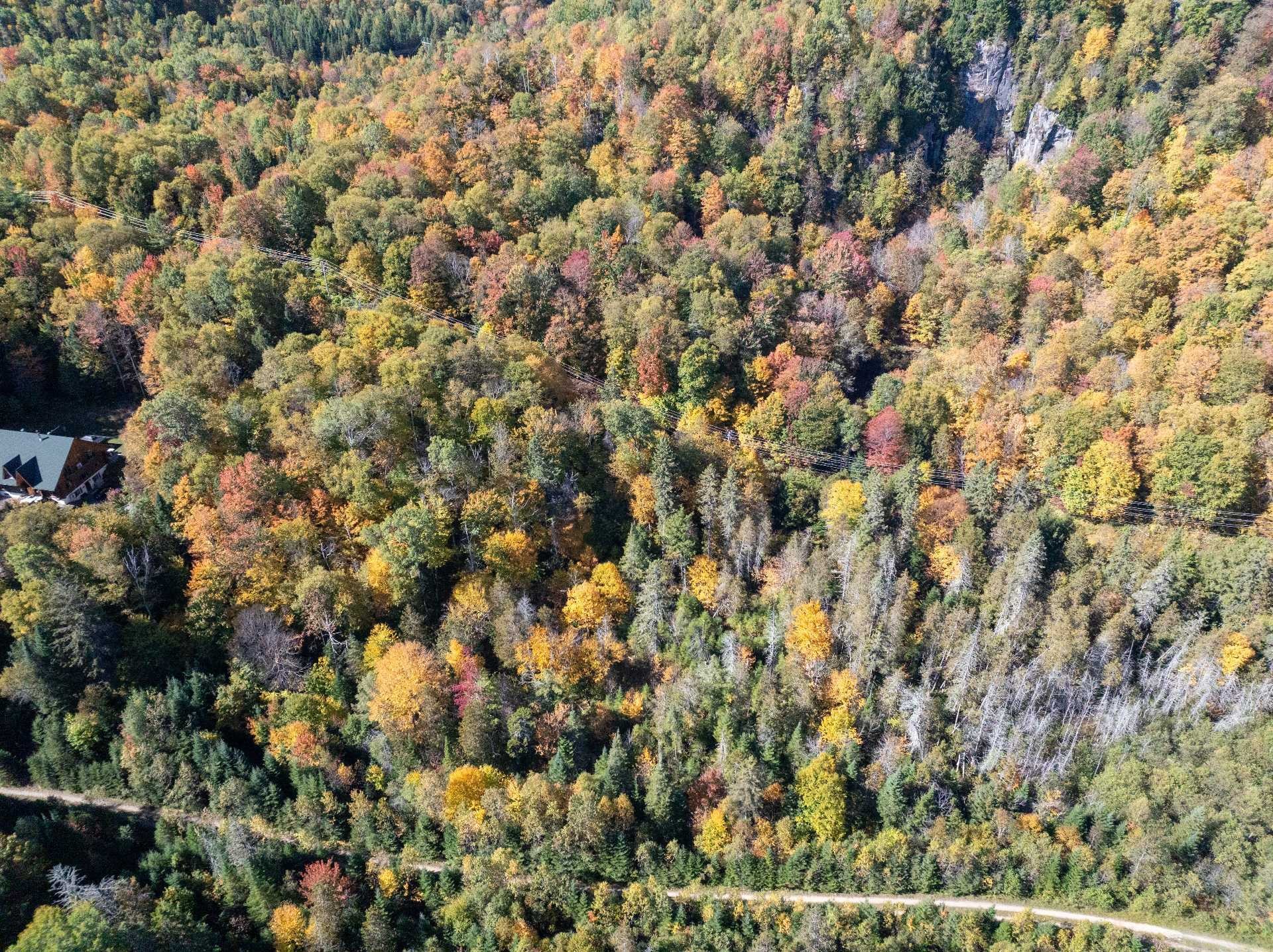 












Ch. de la Paroi

,
Mont-Tremblant,







QC
J8E2G1

