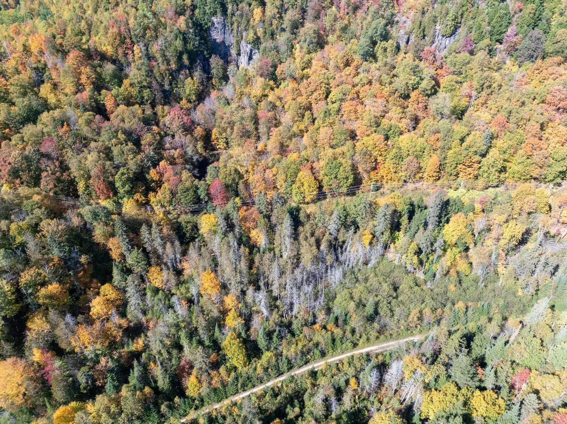 












Ch. de la Paroi

,
Mont-Tremblant,







QC
J8E2G1

