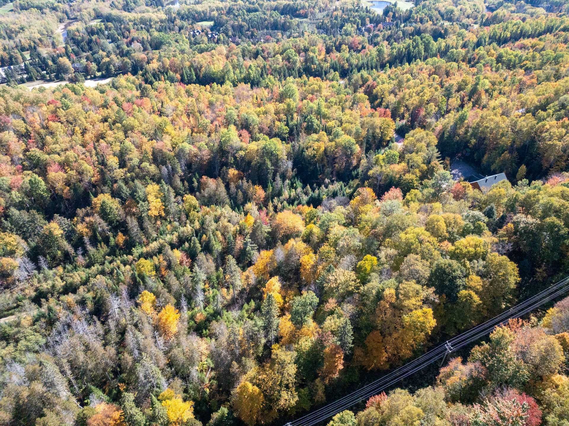 












Ch. de la Paroi

,
Mont-Tremblant,







QC
J8E2G1

