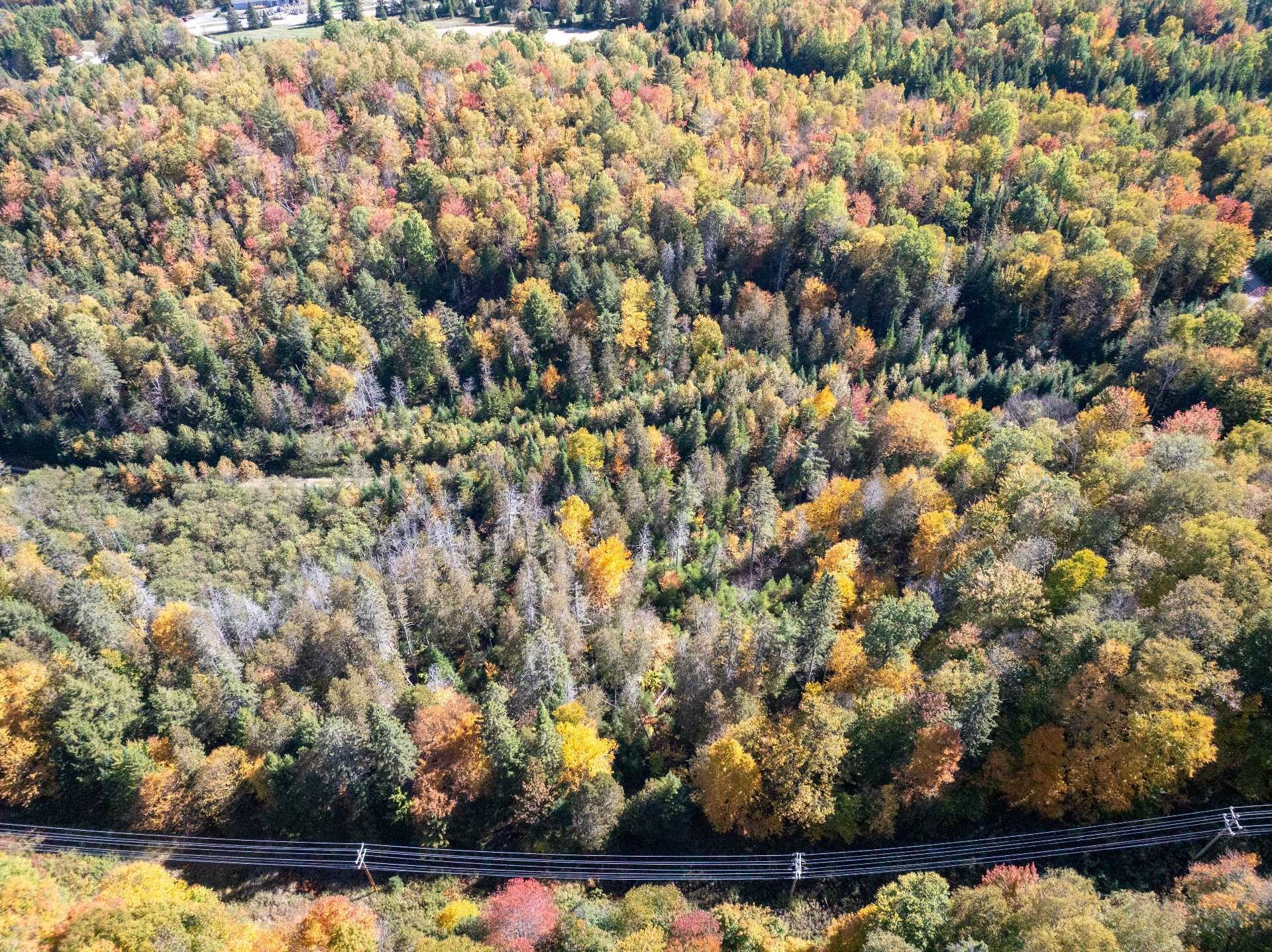 












Ch. de la Paroi

,
Mont-Tremblant,







QC
J8E2G1

