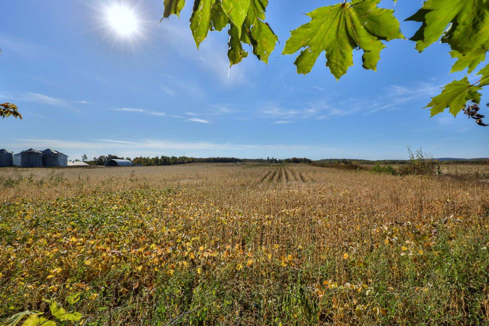 









137


Mtée Papineau

,
Plaisance,




QC
J0V1S0

