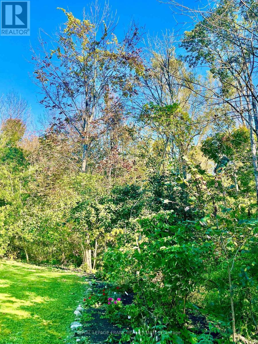 












15359 LITTLE LAKE ROAD

,
Brighton,




Ontario
K0K1H0

