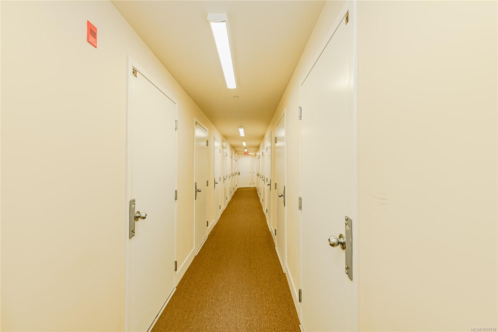 









21


Conard

St, 214,
View Royal,




BC
V8Z 0C4

