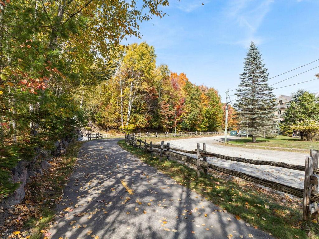 









105


Ch. de l'Érablière

, 2,
Mont-Tremblant,




QC
J8E1H5

