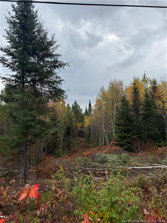 









614


Howard

RD,
Upper Blackville,







NB
E9B 2K6

