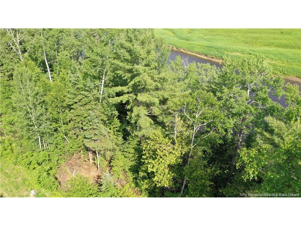 









614


Howard

RD,
Upper Blackville,







NB
E9B 2K6

