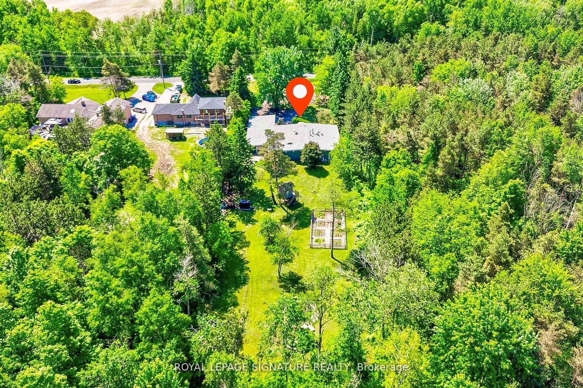 









6554


9th

Line,
New Tecumseth,




ON
L0G 1A0

