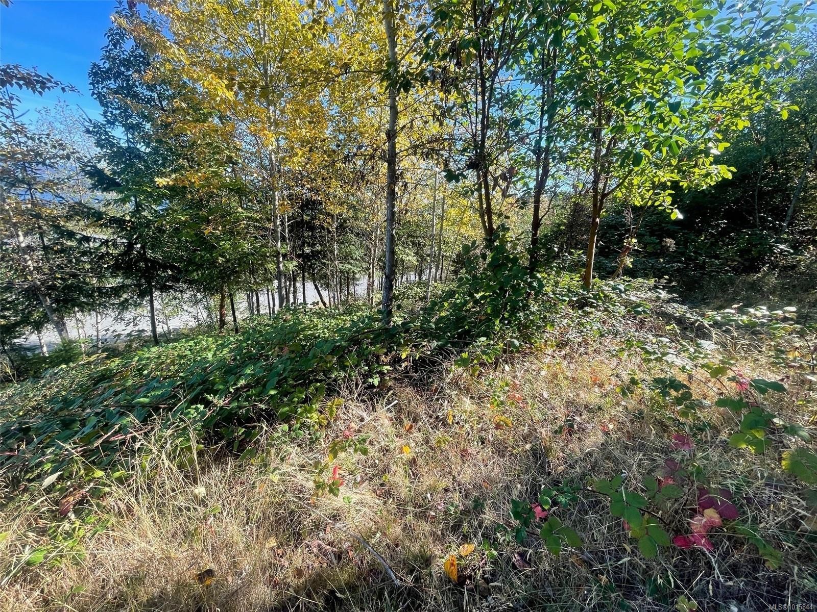 









436


Thetis

Dr,
Ladysmith,







BC
V9G 0A8

