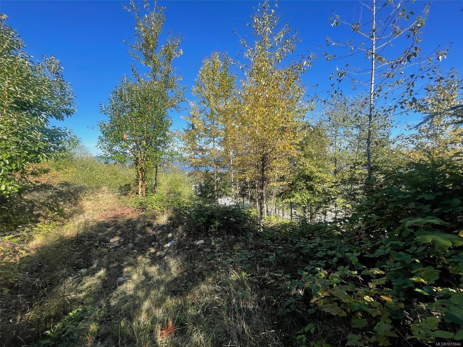 









436


Thetis

Dr,
Ladysmith,







BC
V9G 0A8

