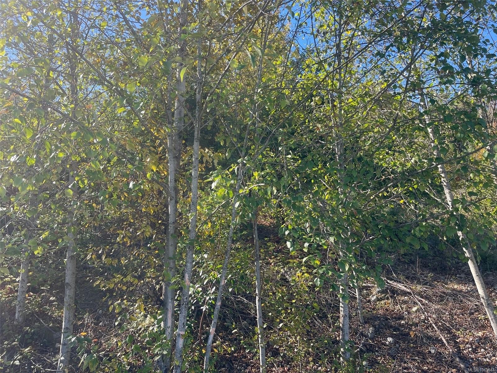 









436


Thetis

Dr,
Ladysmith,







BC
V9G 0A8

