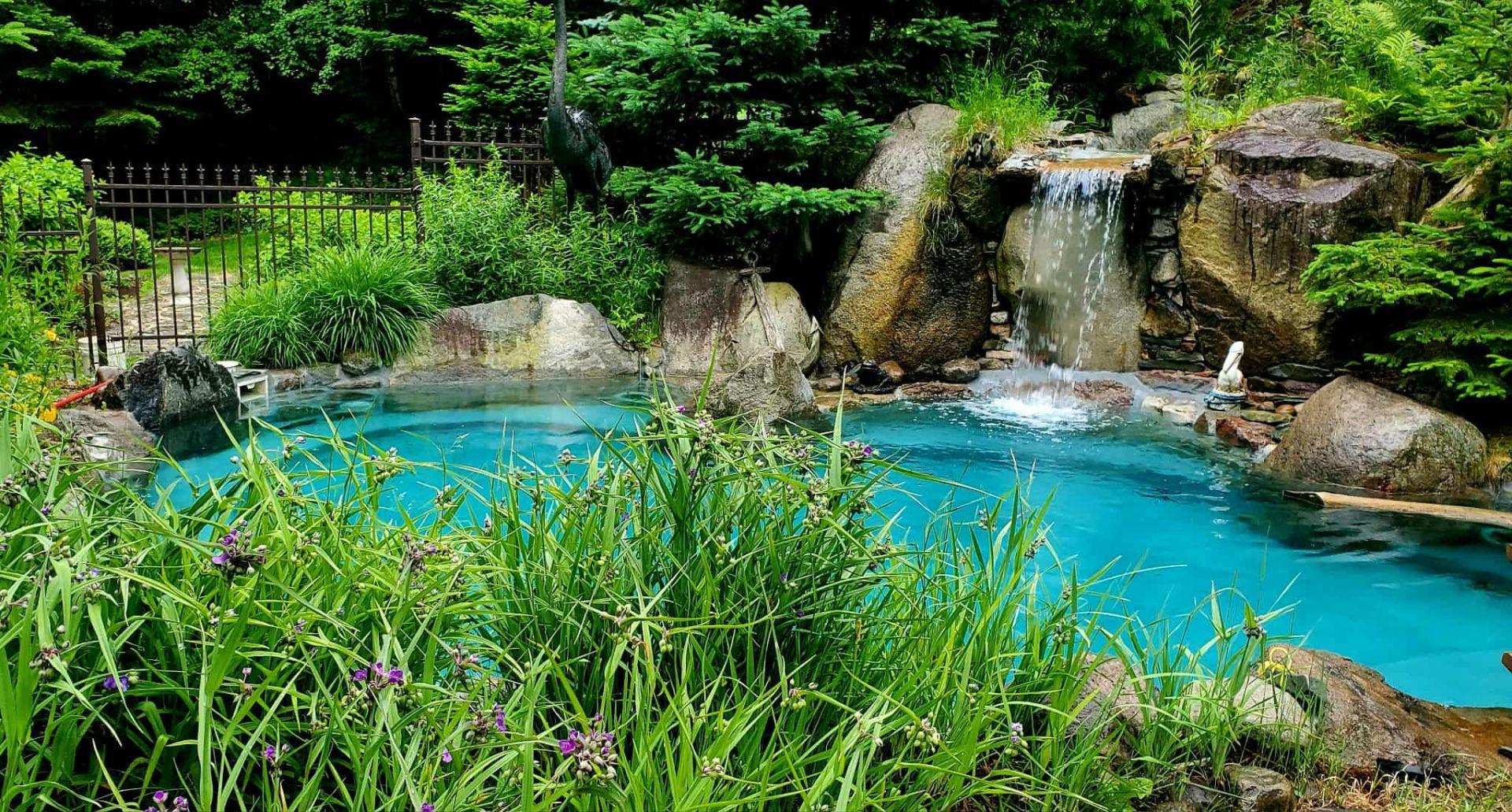 









48


Ch. Doris

,
Saint-Sauveur,




QC
J0R1R1

