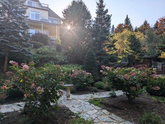 









48


Ch. Doris

,
Saint-Sauveur,




QC
J0R1R1

