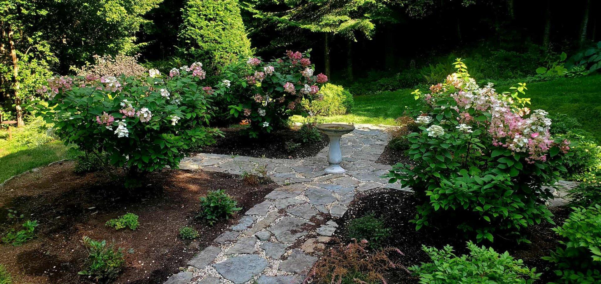 









48


Ch. Doris

,
Saint-Sauveur,




QC
J0R1R1

