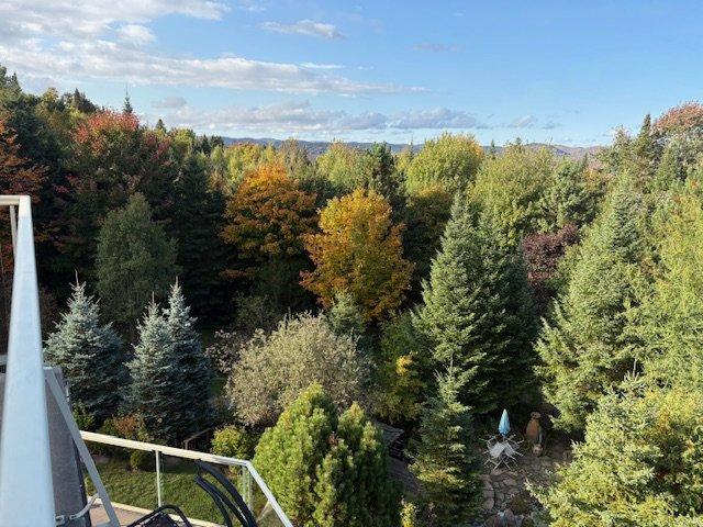 









48


Ch. Doris

,
Saint-Sauveur,




QC
J0R1R1

