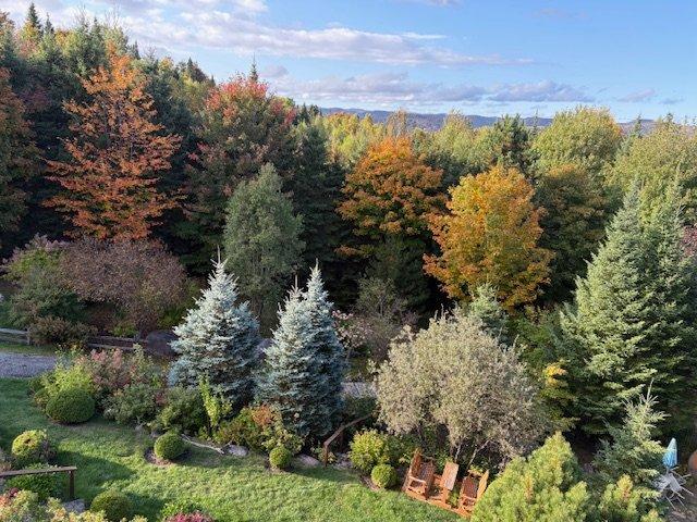 









48


Ch. Doris

,
Saint-Sauveur,




QC
J0R1R1

