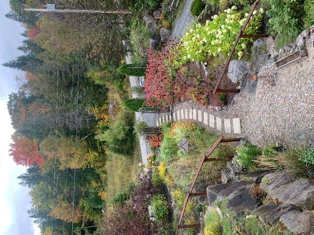 









48


Ch. Doris

,
Saint-Sauveur,




QC
J0R1R1

