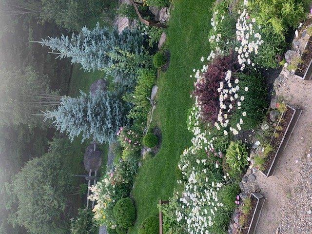 









48


Ch. Doris

,
Saint-Sauveur,




QC
J0R1R1

