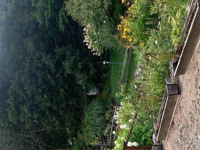 









48


Ch. Doris

,
Saint-Sauveur,




QC
J0R1R1

