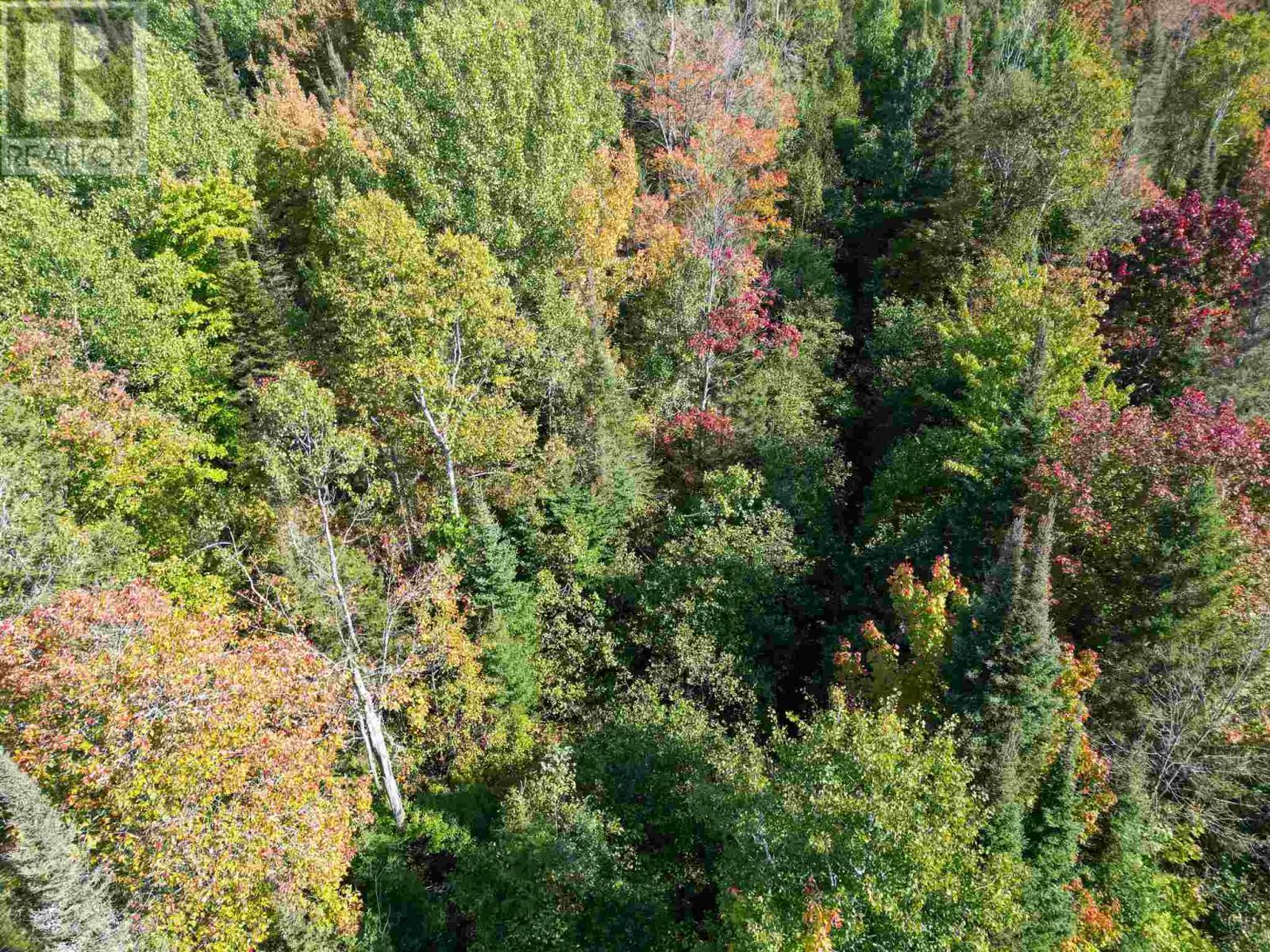 












. Mississagi Bay RD

,
Huron Shores,







Ontario
P0R1H0

